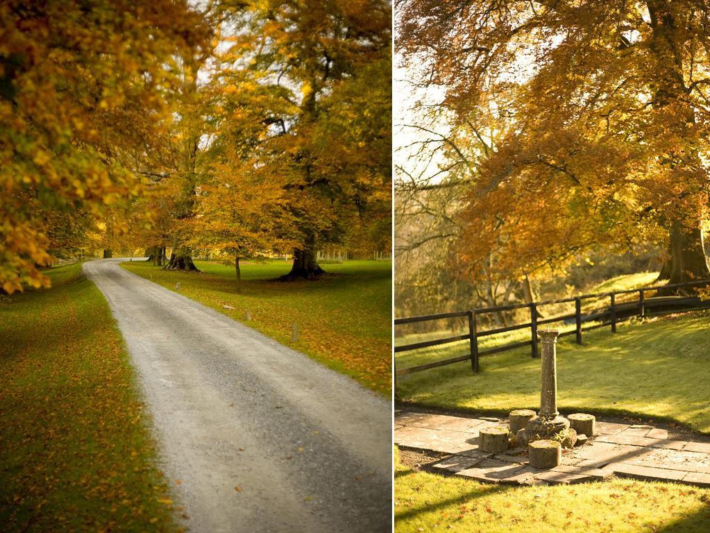 Ballyduff House Thomastown  Phòng bức ảnh